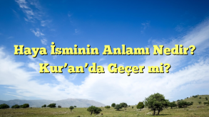 Haya İsminin Anlamı Nedir? Kur’an’da Geçer mi?